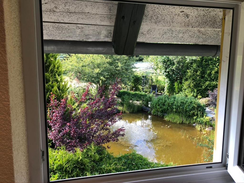 Ferienwohnung Zuendholz Benneckenstein Luaran gambar